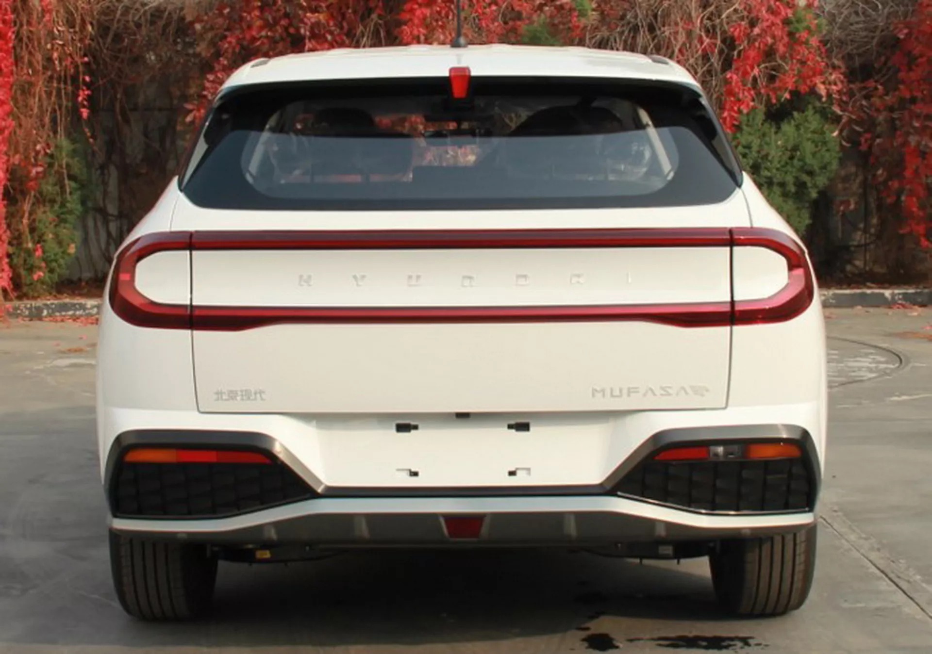 Ảnh chi tiết Hyundai Mufasa Ảnh chi tiết Hyundai Mufasa