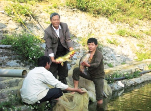 Tín dụng ưu đãi của VBSP: Không ngừng đổi mới, nâng cao chất lượng