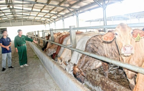 Sứ mệnh với đất và người Sứ mệnh với đất và người