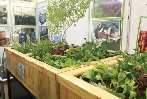 Không thiếu công nghệ mới cho thực phẩm sạch