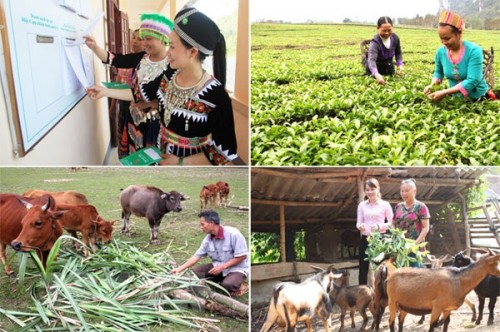 Vốn ưu đãi đóng góp tích cực cho công tác giảm nghèo | Nông nghiệp nông thôn