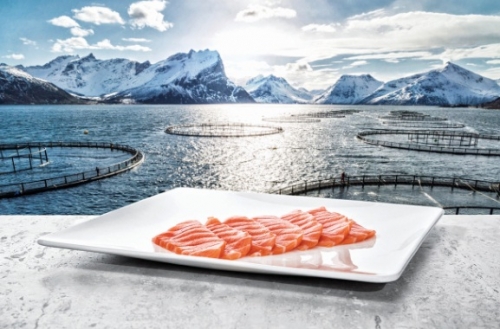 Bài học từ DN thủy sản Na Uy Bài học từ DN thủy sản Na Uy