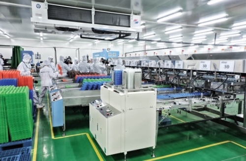 Khát vọng từ huyền thoại Âu Cơ