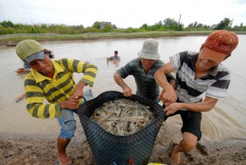 Nông sản Việt đứng trước FSMA Nông sản Việt đứng trước FSMA
