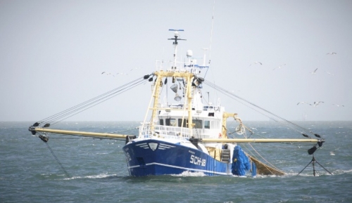 Ngành thủy sản sẵn sàng thoát thẻ vàng