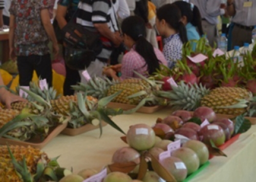 Kết nối cung cầu hướng mở cho DN