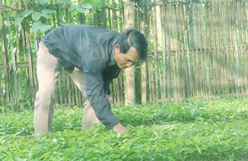 Để bảo vệ sản phẩm quốc gia