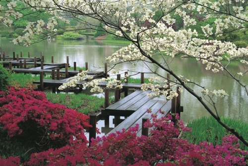 BĐS phong cách Nhật Bản: Điểm nhấn khác biệt của thị trường