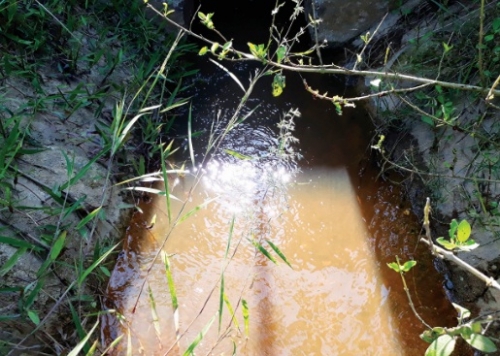 KCN Quán Ngang gây ô nhiễm môi trường KCN Quán Ngang gây ô nhiễm môi trường