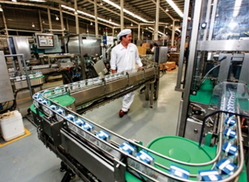 Ngành sữa và bài toán liên kết chuỗi