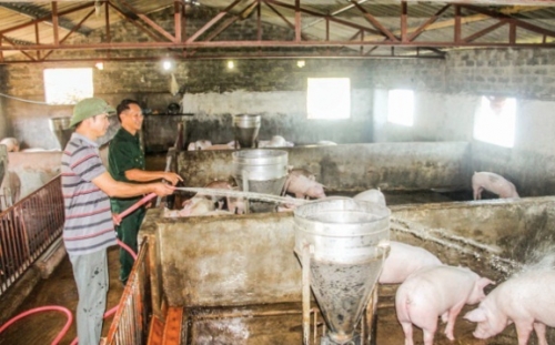 Thêm vốn ưu đãi, thêm cơ hội vươn lên