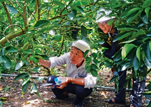 Phó Thống đốc Đào Minh Tú: Tài chính vi mô góp phần hạn chế tín dụng đen