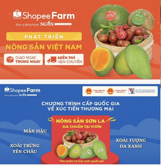 Trái cây Sơn La lên sàn thương mại điện tử trai cay son la len san thuong mai dien tu