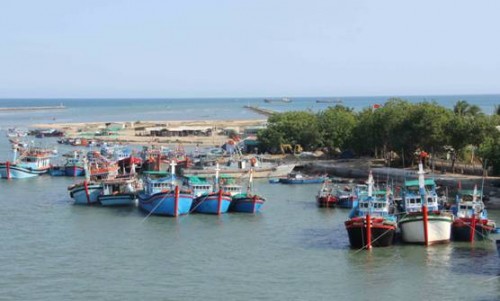 Động lực cho nghề cá phát triển Động lực cho nghề cá phát triển