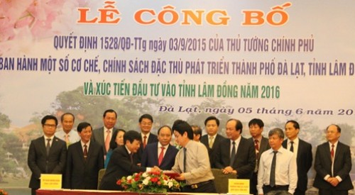 Cam kết tài trợ trên 11.000 tỷ đồng để phát triển cây Mắc ca