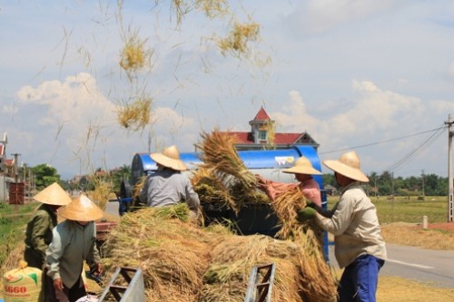 Chiếc máy tuốt lúa Chiếc máy tuốt lúa