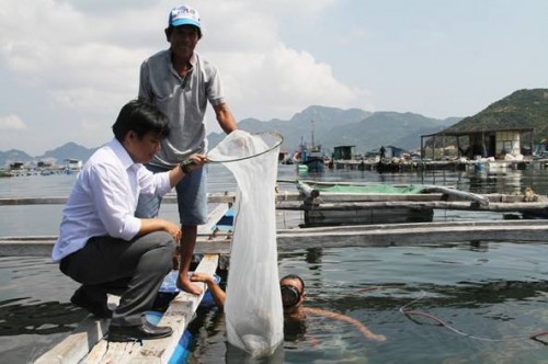 Niềm vui trên xã đảo Cam Bình Niềm vui trên xã đảo Cam Bình