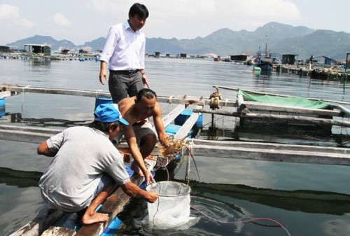 Niềm vui trên xã đảo Cam Bình Niềm vui trên xã đảo Cam Bình