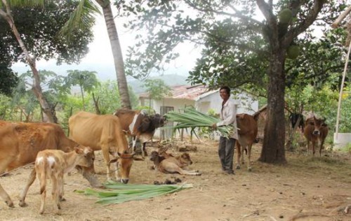 Điểm tựa để thoát nghèo bền vững Điểm tựa để thoát nghèo bền vững