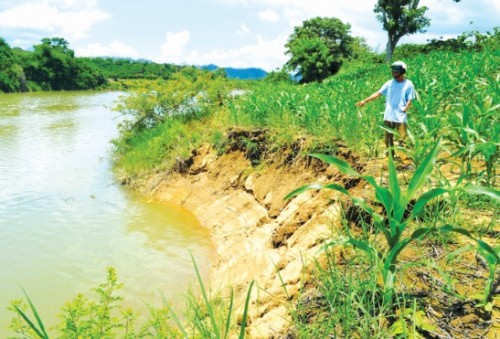 Mất đất sản xuất vì hút cát