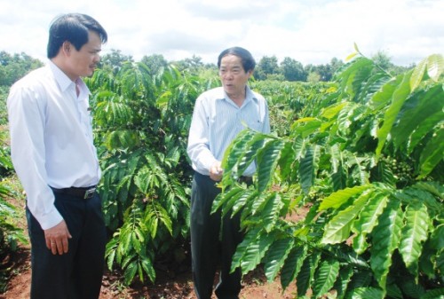 Giúp nông dân làm giàu