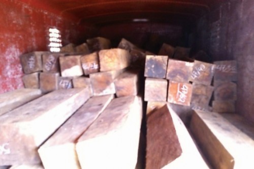 Ô tô cũ và gỗ lậu mới Ô tô cũ và gỗ lậu mới