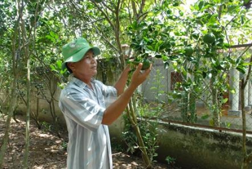 Tín dụng chính sách giúp thoát nghèo bền vững