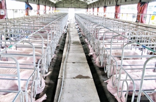 Gỡ vướng từ nội tại