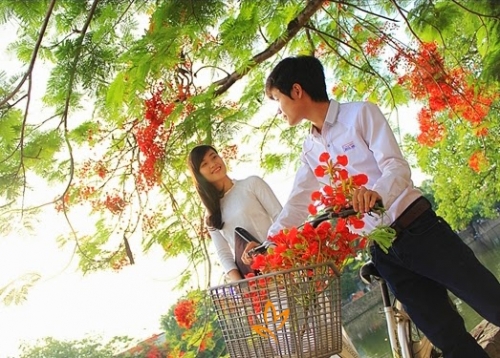 Tháng sáu, mùa thương