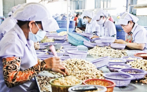 Rộng mở hàng hóa sang thị trường Úc Rộng mở hàng hóa sang thị trường Úc