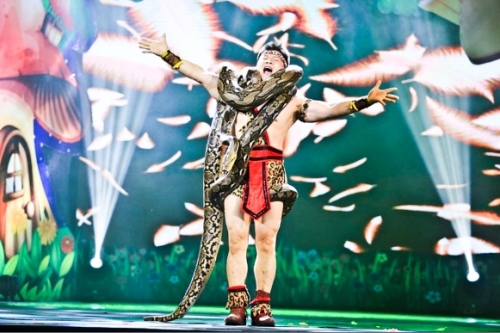 Xiếc thú Việt “vượt sóng” Xiếc thú Việt “vượt sóng”