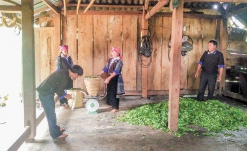 Về “xứ sở mây mù”, nghe tiếng reo của vốn