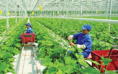 Đòn bẩy đầu tư vào nông nghiệp nông thôn