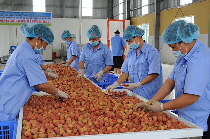 vai thieu bac giang ket noi tieu thu qua thuong mai dien tu de vuot dich covid 19