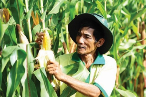 Tìm “sức sống” cho công nghệ sinh học