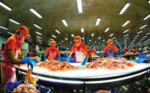 Chính sách lao động, tiền lương: “Ổ gà” trên đường hội nhập