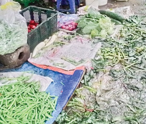 Mạnh tay với xả rác thải bừa bãi