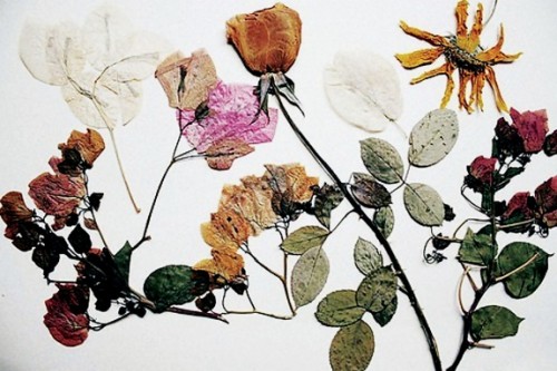 Xu hướng vẽ tranh mới lạ