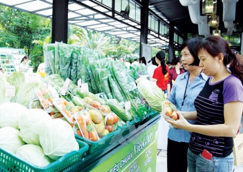 Đầu tư nông nghiệp sạch để kéo vốn ngân hàng