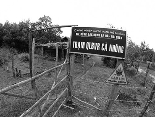 Điều tra bổ sung vụ phá rừng Cà Nhông