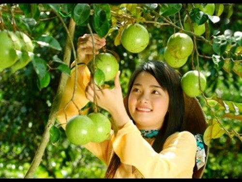 Hoa trái đầu mùa