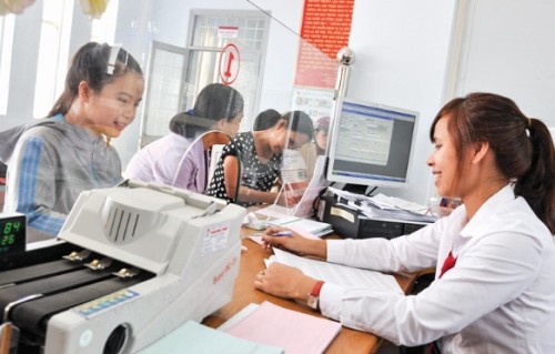 Nâng cao vai trò của BHTGVN