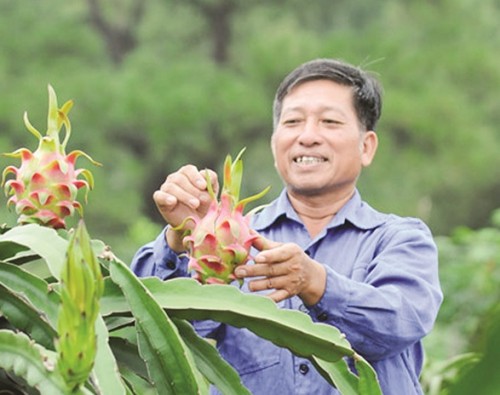 Nông sản Việt yếu ở nhiều khâu Nông sản Việt yếu ở nhiều khâu