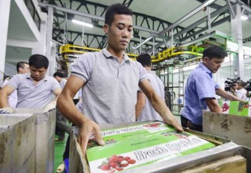 Xuất khẩu rau quả còn nhiều cơ hội