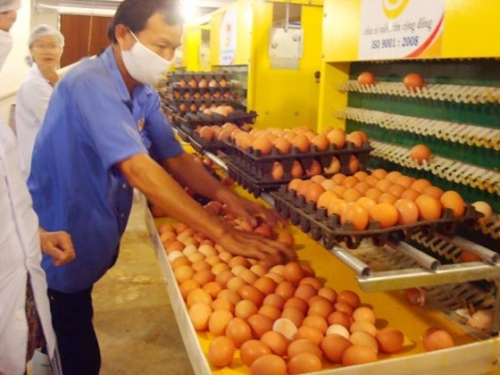 Đổi mới công nghệ để cạnh tranh Đổi mới công nghệ để cạnh tranh