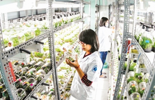 Nâng chất lượng nông sản