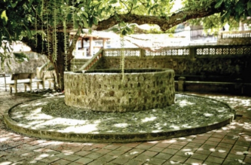 Xin hãy bảo vệ “nàng tiên cá” Xin hãy bảo vệ “nàng tiên cá”