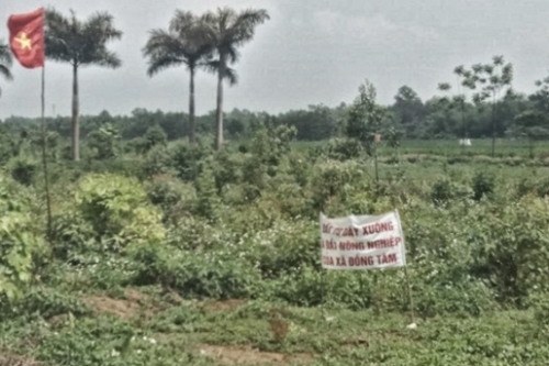 Thu hồi đất quốc phòng sử dụng sai mục đích Thu hồi đất quốc phòng sử dụng sai mục đích