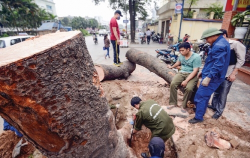 Cần thay đổi cách ứng xử với môi trường Cần thay đổi cách ứng xử với môi trường