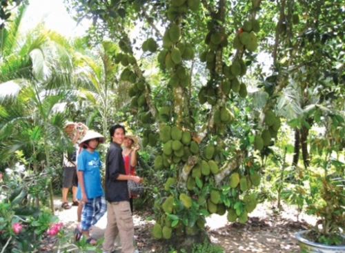 Du lịch ồ ạt giảm giá hè Du lịch ồ ạt giảm giá hè